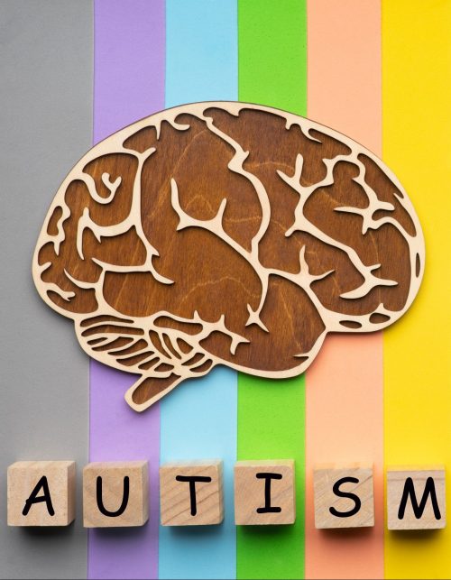 Mock up of the human brain on a colorful background. Six cubes with the inscription autism.